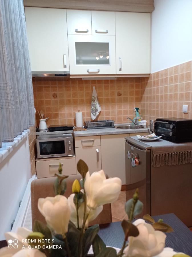 Apartman Harmonija Vrnjačka Banja エクステリア 写真