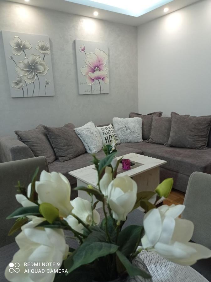 Apartman Harmonija Vrnjačka Banja エクステリア 写真
