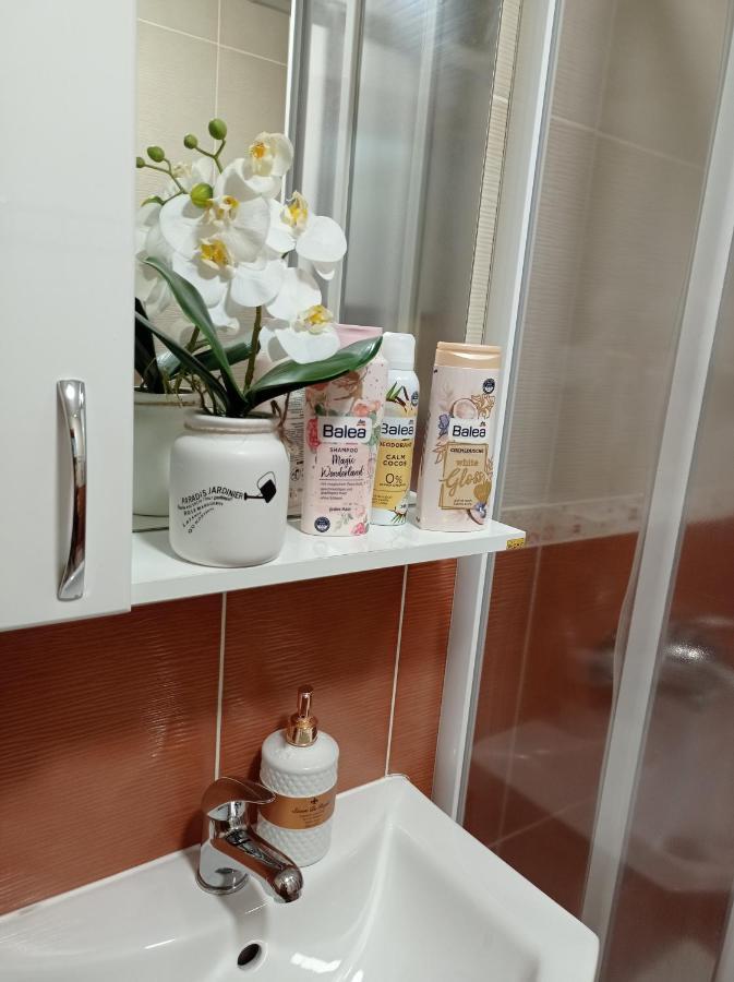 Apartman Harmonija Vrnjačka Banja エクステリア 写真