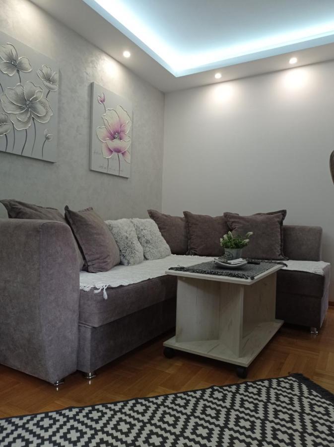 Apartman Harmonija Vrnjačka Banja エクステリア 写真