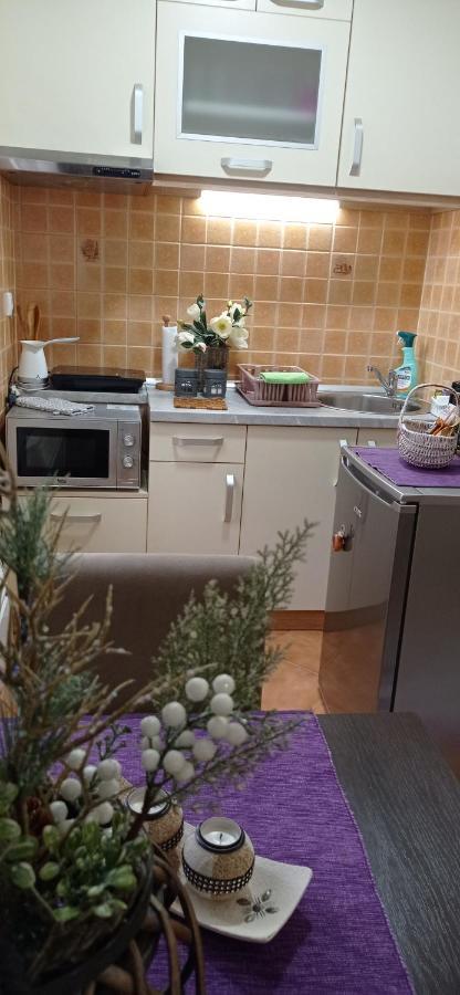 Apartman Harmonija Vrnjačka Banja エクステリア 写真