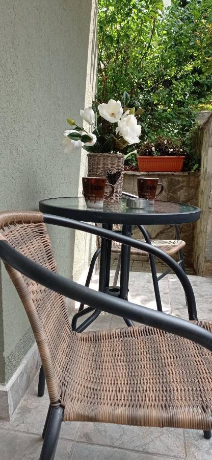 Apartman Harmonija Vrnjačka Banja エクステリア 写真