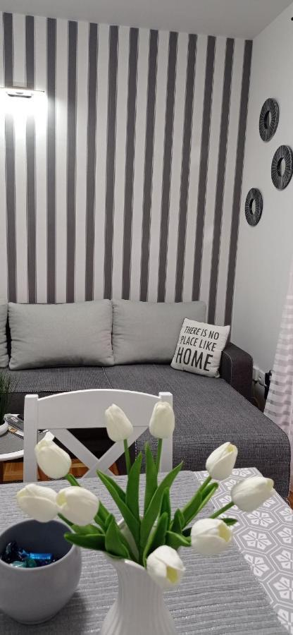 Apartman Harmonija Vrnjačka Banja 部屋 写真