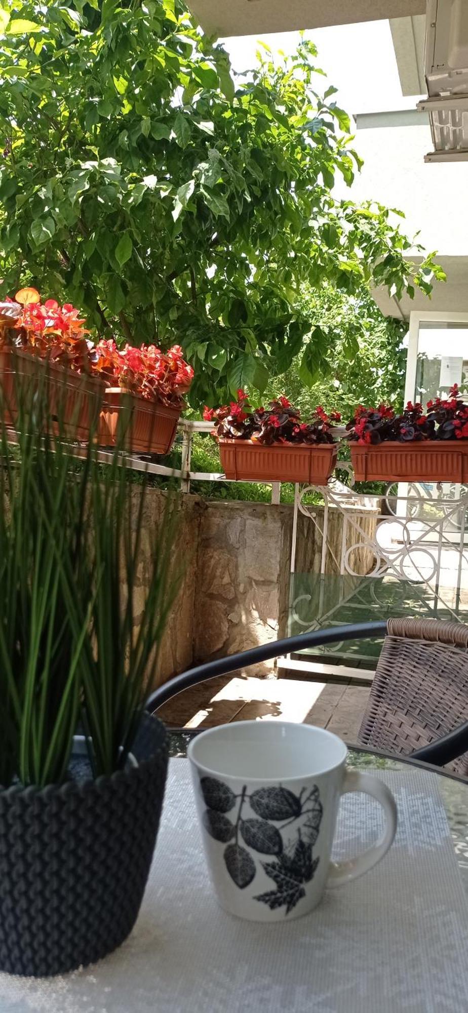 Apartman Harmonija Vrnjačka Banja エクステリア 写真